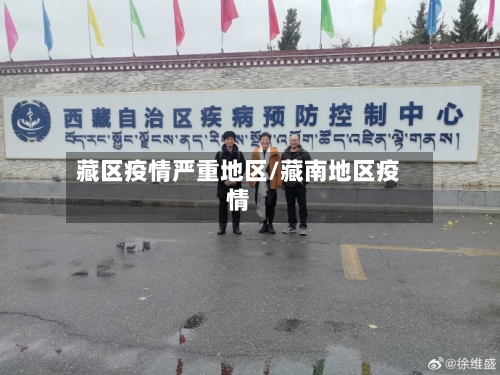 藏区疫情严重地区/藏南地区疫情