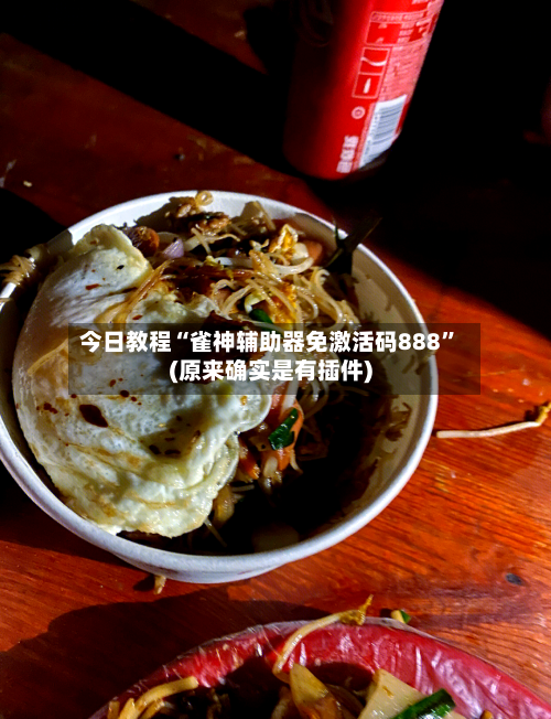 今日教程“雀神辅助器免激活码888”(原来确实是有插件)-第3张图片