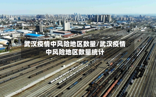 武汉疫情中风险地区数量/武汉疫情中风险地区数量统计