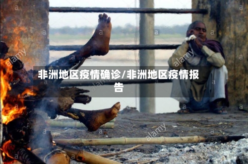 非洲地区疫情确诊/非洲地区疫情报告
