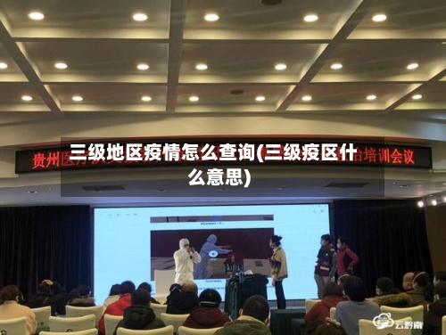 三级地区疫情怎么查询(三级疫区什么意思)-第2张图片