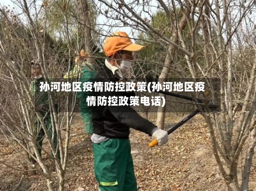 孙河地区疫情防控政策(孙河地区疫情防控政策电话)-第3张图片