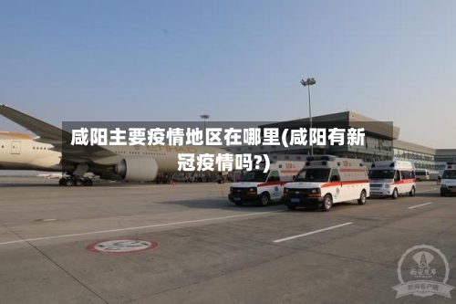 咸阳主要疫情地区在哪里(咸阳有新冠疫情吗?)-第3张图片