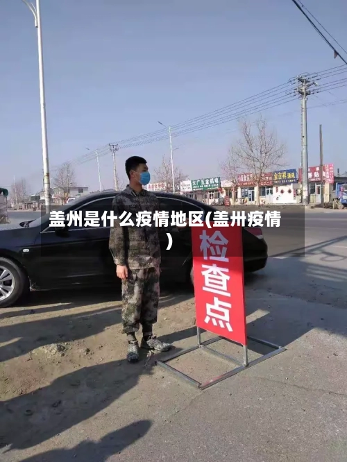 盖州是什么疫情地区(盖卅疫情)-第3张图片