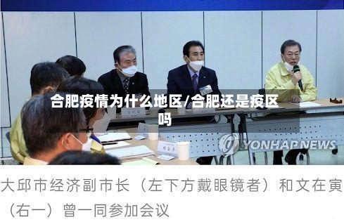合肥疫情为什么地区/合肥还是疫区吗