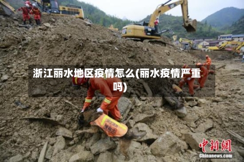 浙江丽水地区疫情怎么(丽水疫情严重吗)