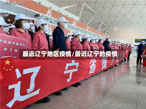 最近辽宁地区疫情/最近辽宁的疫情