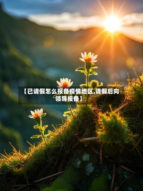 【已请假怎么报备疫情地区,请假后向领导报备】-第2张图片