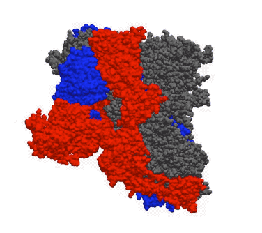 上海地区疫情加剧情况/疫情实时动态上海各区