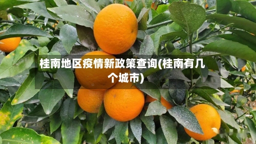 桂南地区疫情新政策查询(桂南有几个城市)
