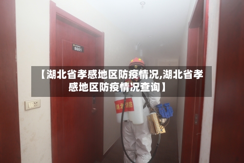 【湖北省孝感地区防疫情况,湖北省孝感地区防疫情况查询】