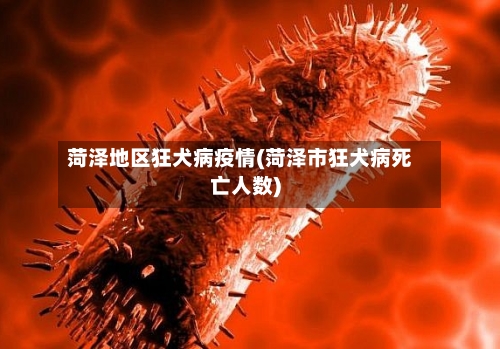 菏泽地区狂犬病疫情(菏泽市狂犬病死亡人数)