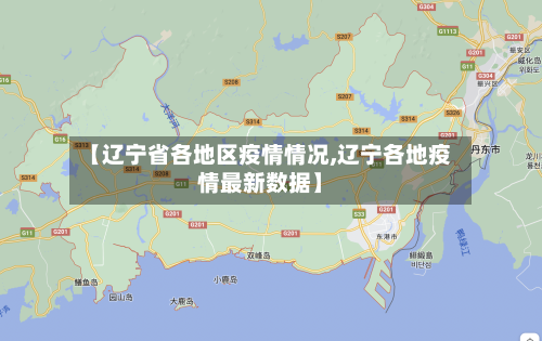 【辽宁省各地区疫情情况,辽宁各地疫情最新数据】-第2张图片