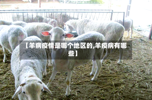 【羊病疫情是哪个地区的,羊疫病有哪些】-第2张图片