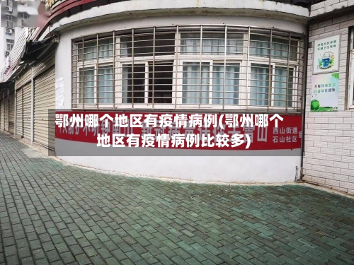 鄂州哪个地区有疫情病例(鄂州哪个地区有疫情病例比较多)-第2张图片