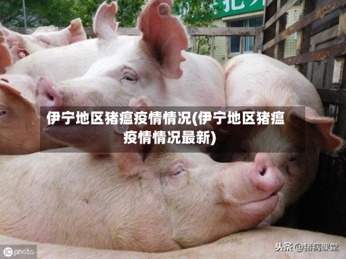 伊宁地区猪瘟疫情情况(伊宁地区猪瘟疫情情况最新)
