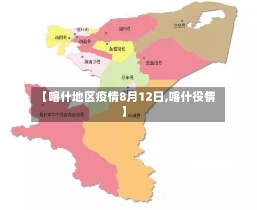 【喀什地区疫情8月12日,喀什役情】-第2张图片