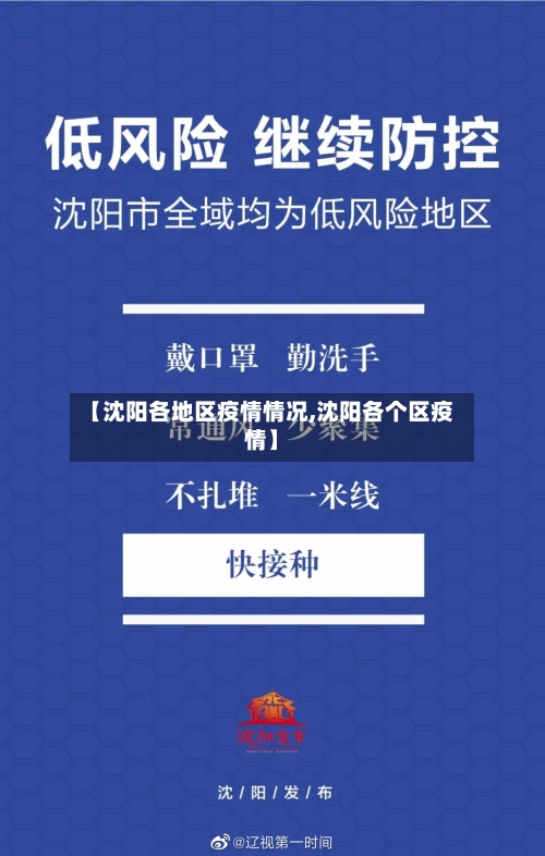 【沈阳各地区疫情情况,沈阳各个区疫情】-第2张图片
