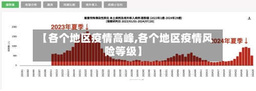 【各个地区疫情高峰,各个地区疫情风险等级】