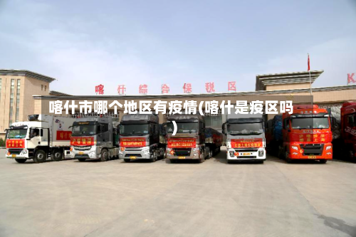 喀什市哪个地区有疫情(喀什是疫区吗)-第3张图片