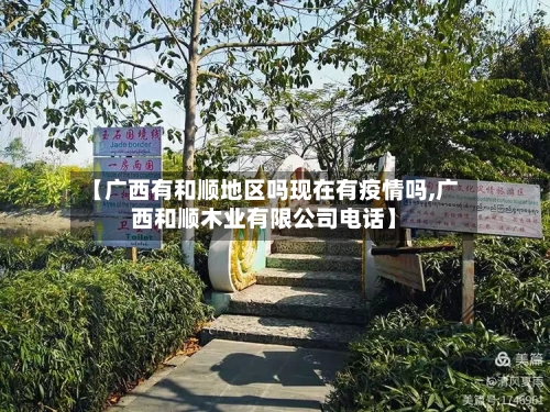 【广西有和顺地区吗现在有疫情吗,广西和顺木业有限公司电话】