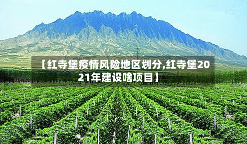 【红寺堡疫情风险地区划分,红寺堡2021年建设啥项目】