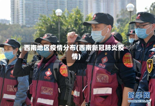 西南地区疫情分布(西南新冠肺炎疫情)-第2张图片