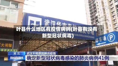 叶县什么地区有疫情病例(叶县有没有新型冠状病毒)-第2张图片