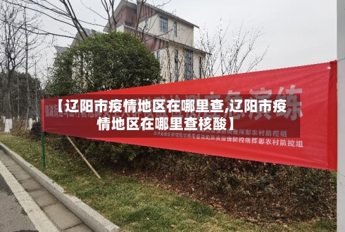 【辽阳市疫情地区在哪里查,辽阳市疫情地区在哪里查核酸】-第2张图片